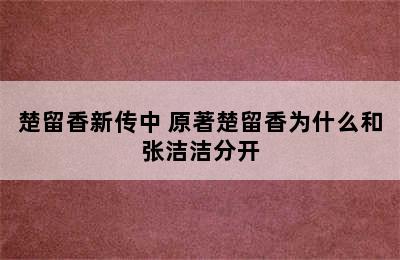 楚留香新传中 原著楚留香为什么和张洁洁分开